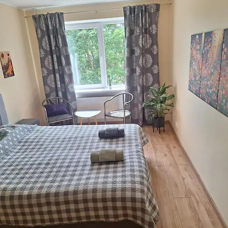 Spacious & Sunny With A Balcony